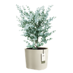 eden 35cm linnen wit